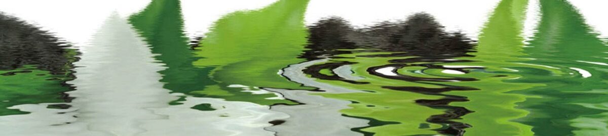 Bioxcelinnovationsllc